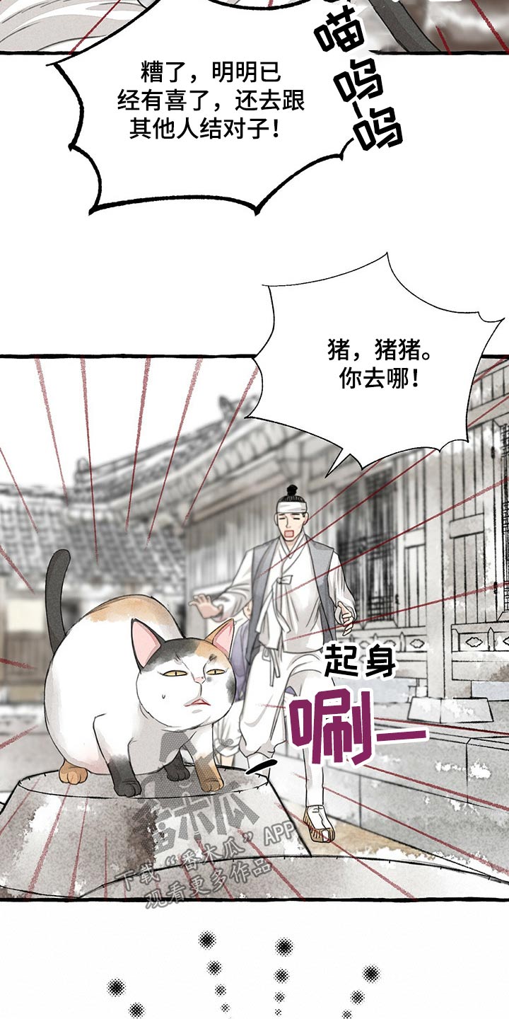 冒险秘密漫画,第128章：猫咪1图