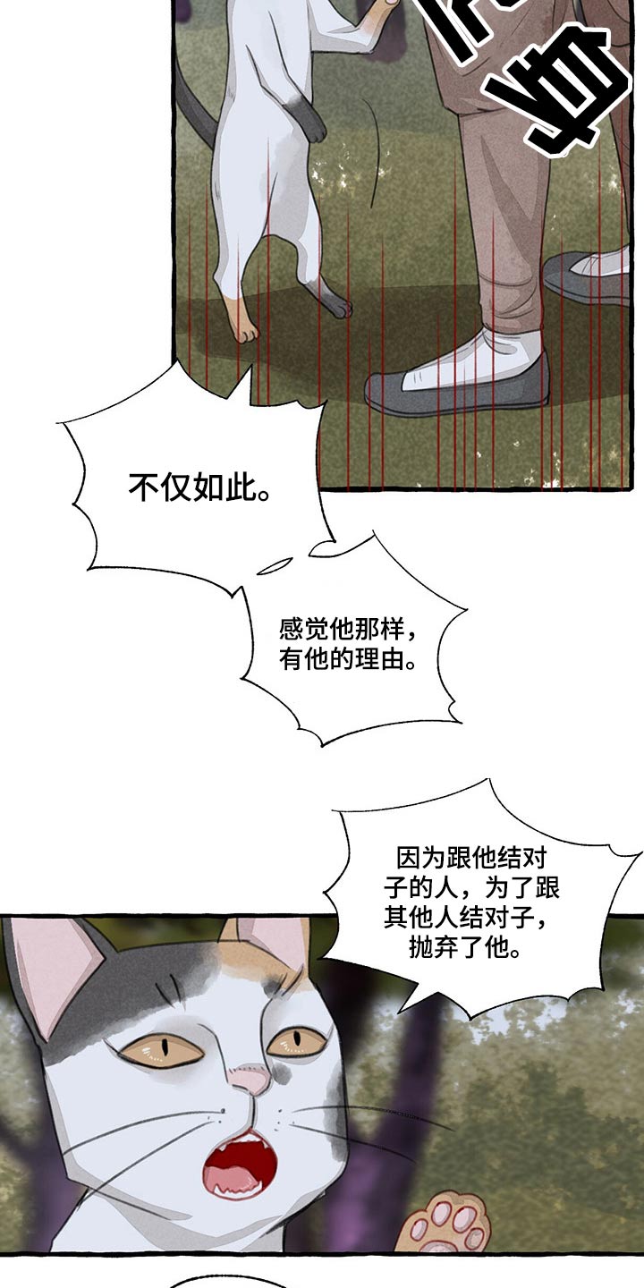 冒险秘密漫画,第149章：无法相信1图