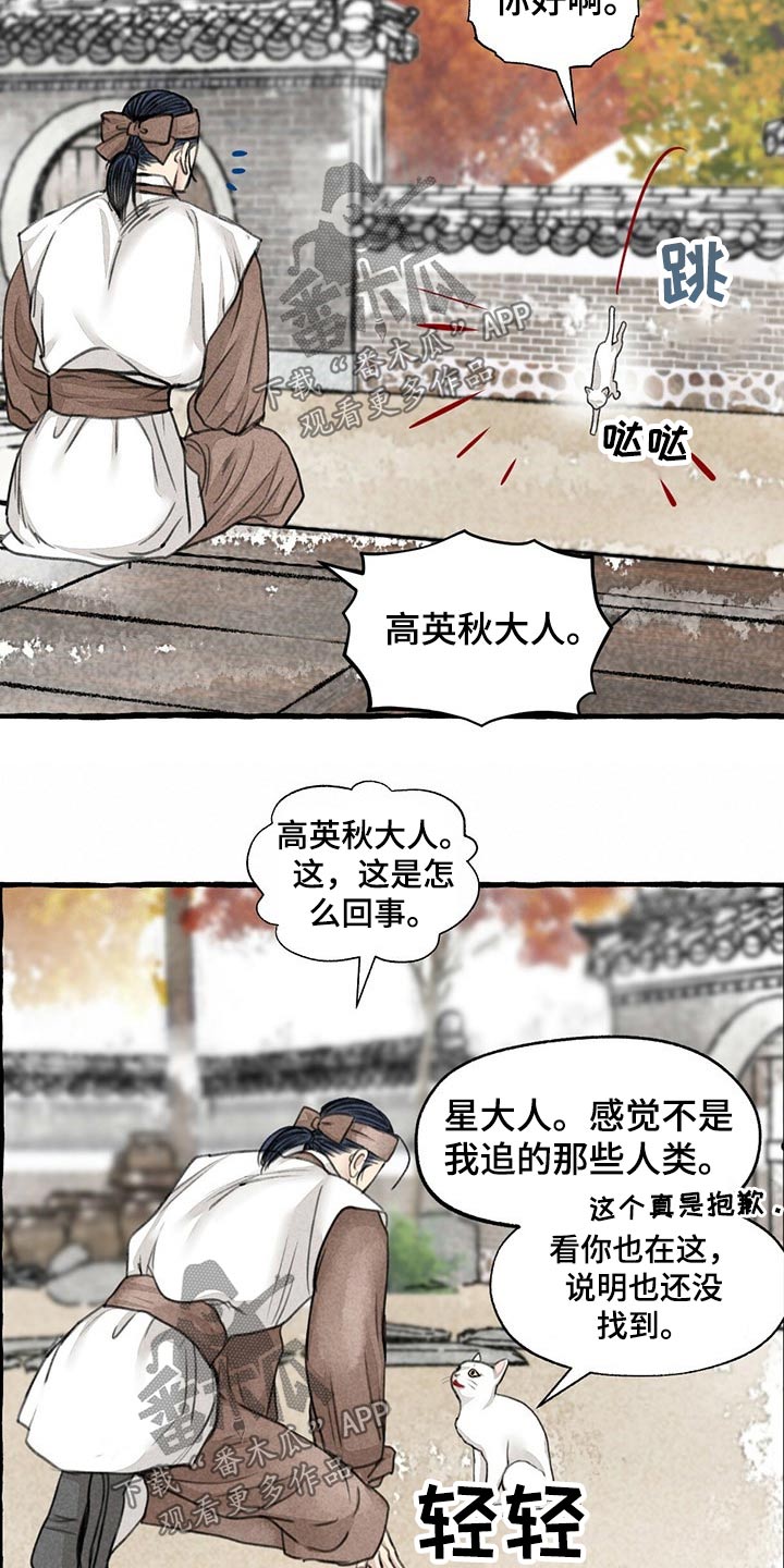 冒险秘密漫画,第128章：猫咪2图