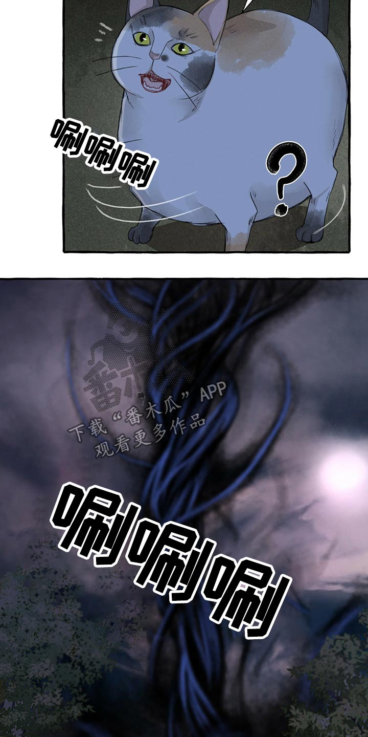 冒险秘密漫画,第137章：亲自出马4图