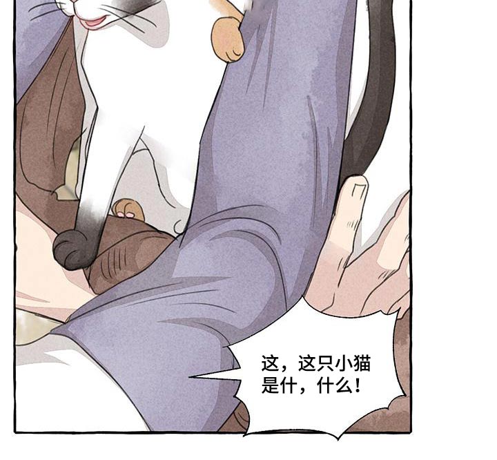 冒险秘密漫画,第165章：就是他5图