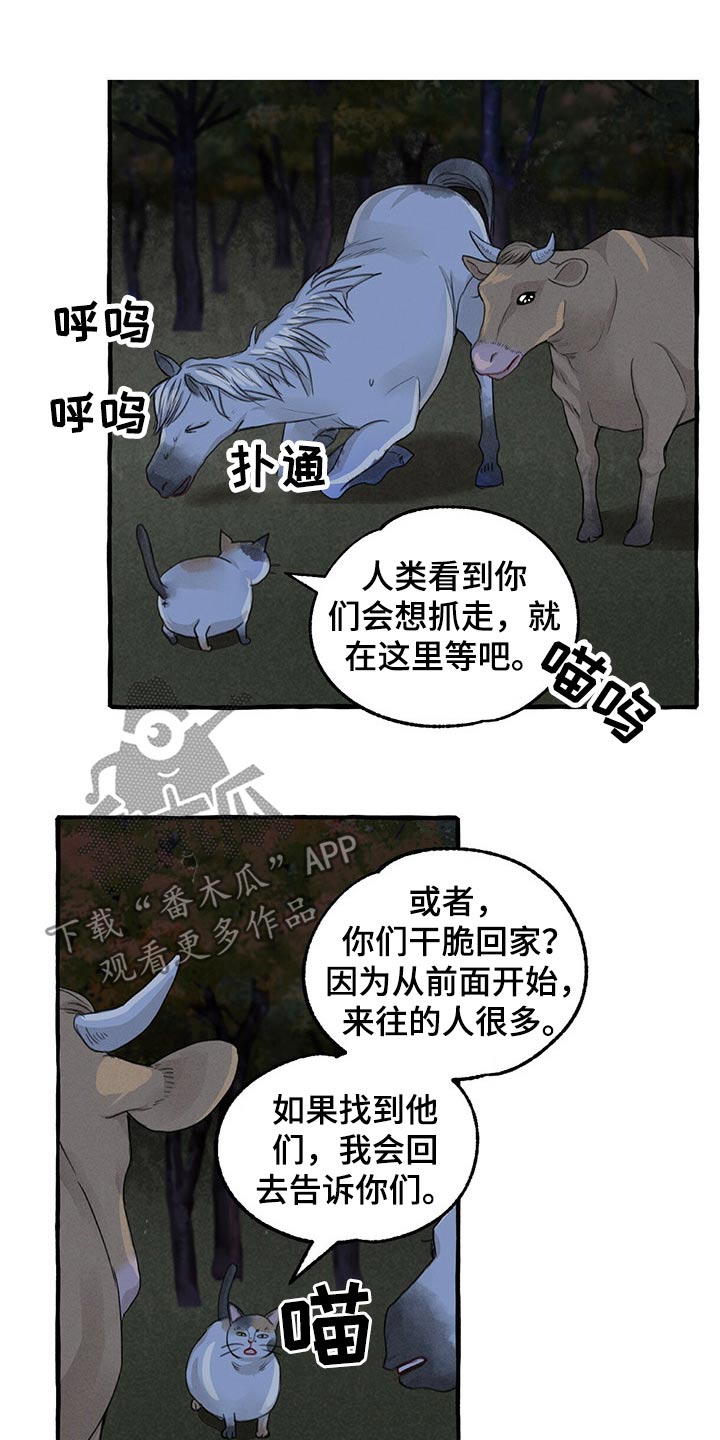 冒险秘密漫画,第137章：亲自出马2图