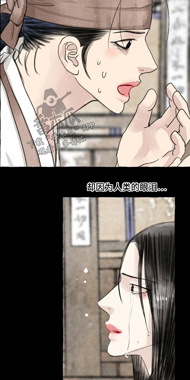 冒险秘密漫画,第128章：猫咪4图