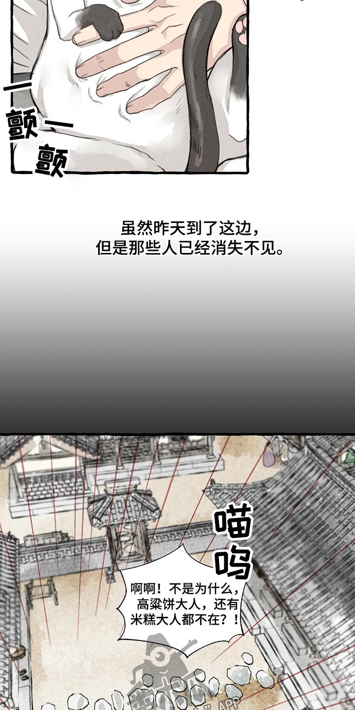 冒险秘密漫画,第128章：猫咪2图