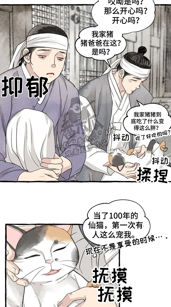 冒险秘密漫画,第128章：猫咪1图