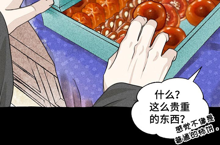 冒险秘密漫画,第114章：贵重4图