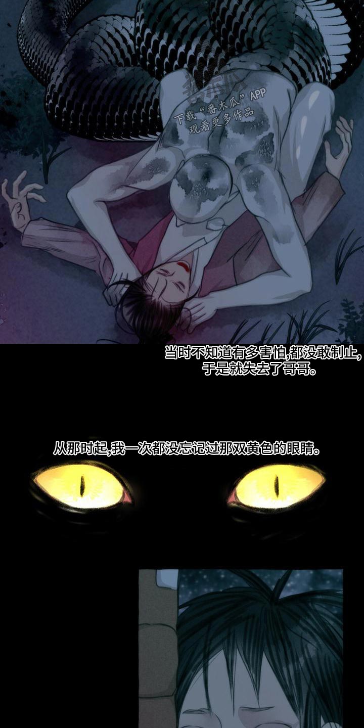 冒险秘密漫画,第162章：抓住1图