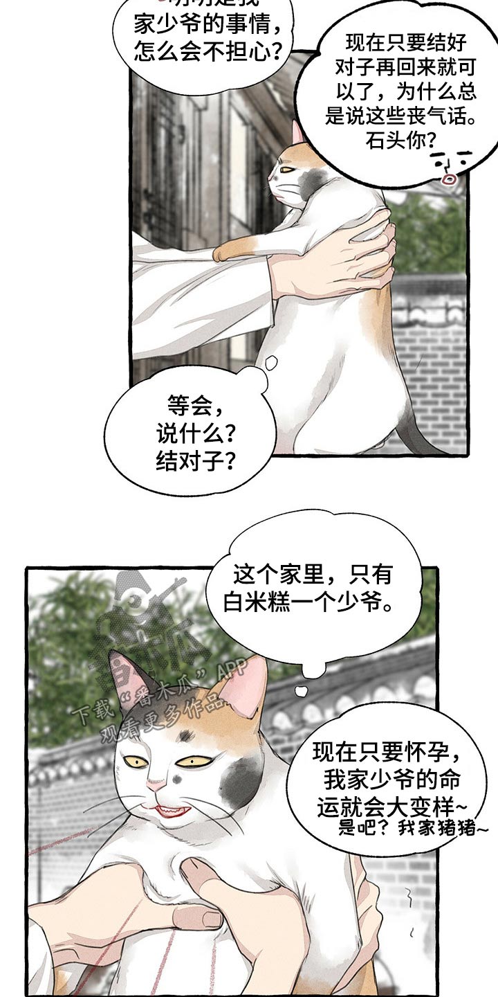 冒险秘密漫画,第128章：猫咪3图