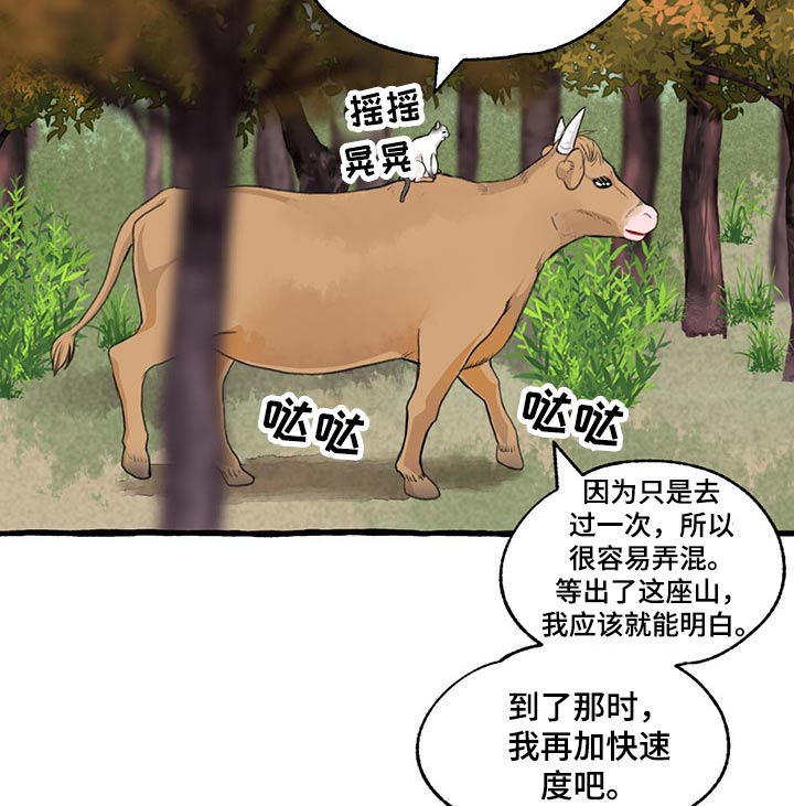 冒险秘密漫画,第121章：绝对1图