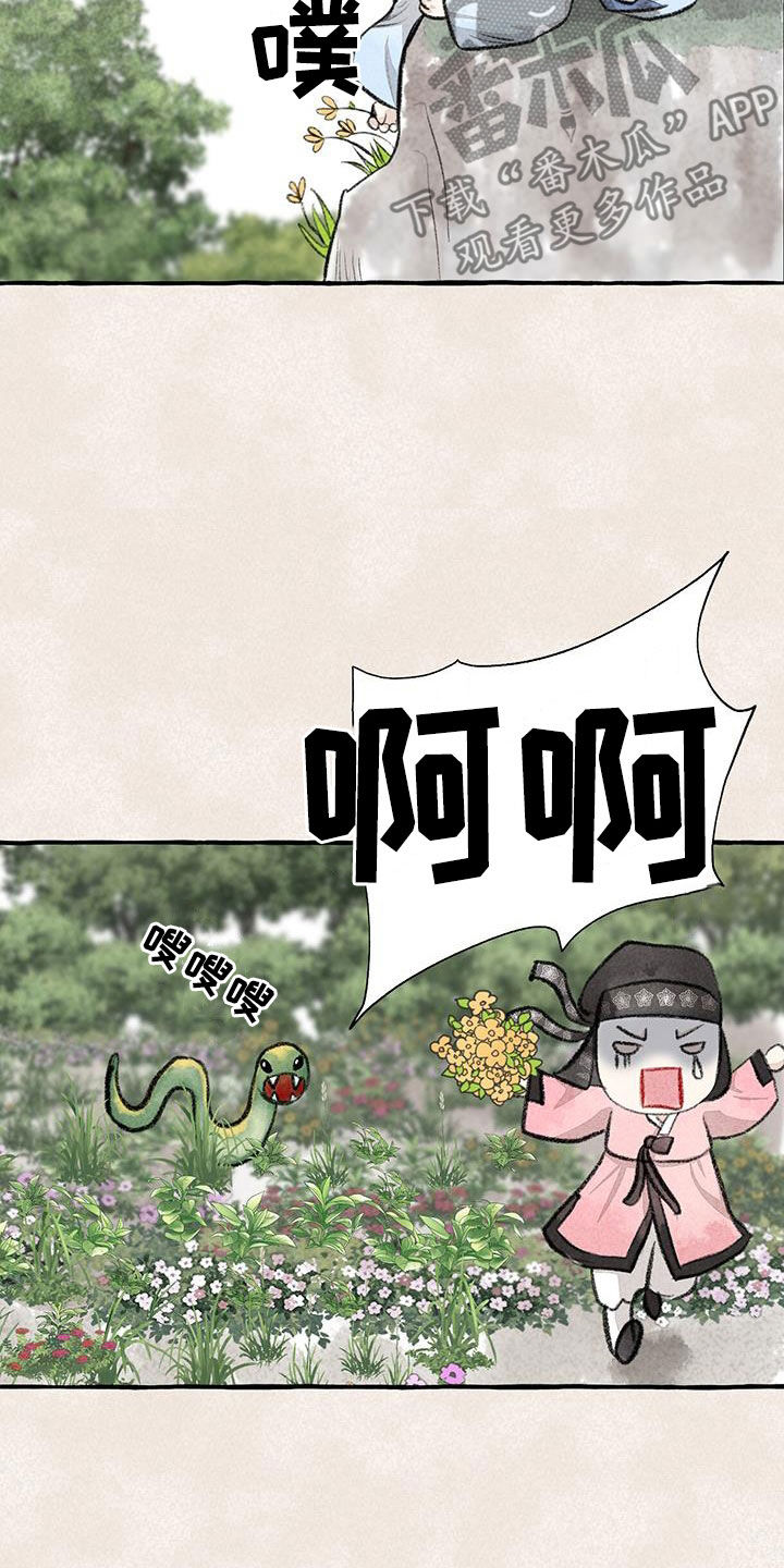 冒险秘密漫画,第184章：采花4图