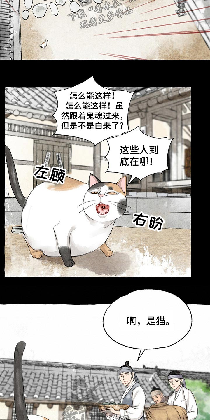 冒险秘密漫画,第128章：猫咪3图