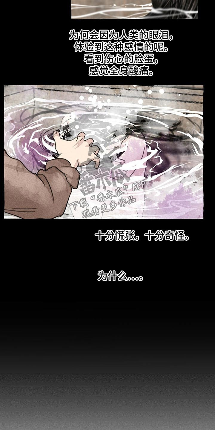 冒险秘密漫画,第128章：猫咪5图