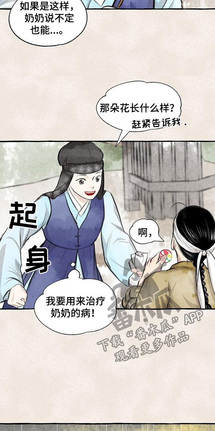 冒险秘密漫画,第184章：采花4图