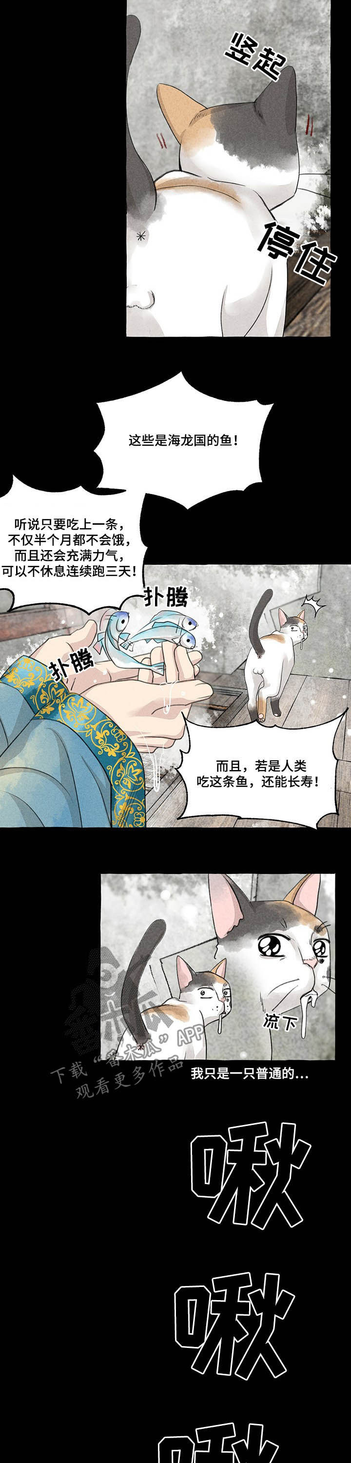 冒险秘密漫画,第104章：悬崖3图
