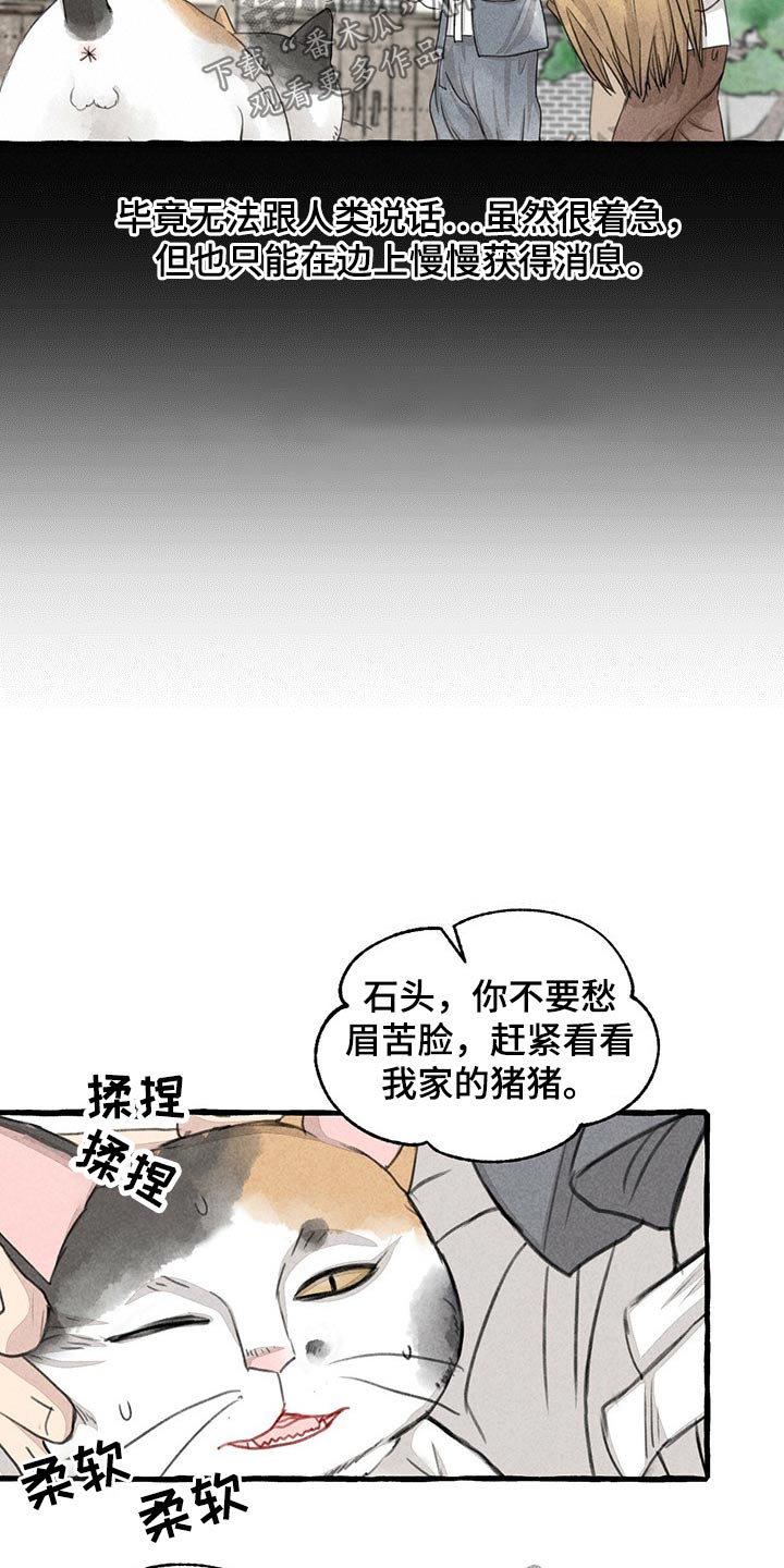 冒险秘密漫画,第128章：猫咪4图