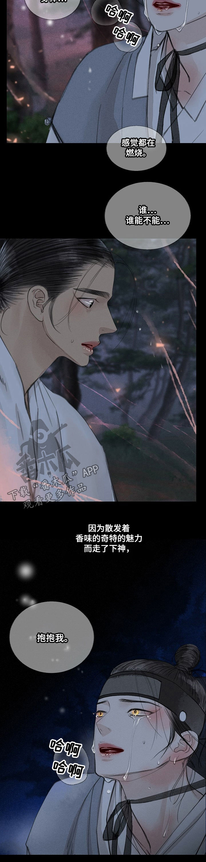 冒险秘密漫画,第44章：婚宴2图