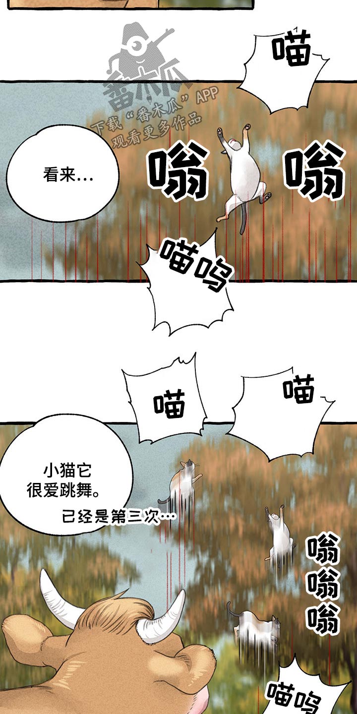 冒险秘密漫画,第121章：绝对1图
