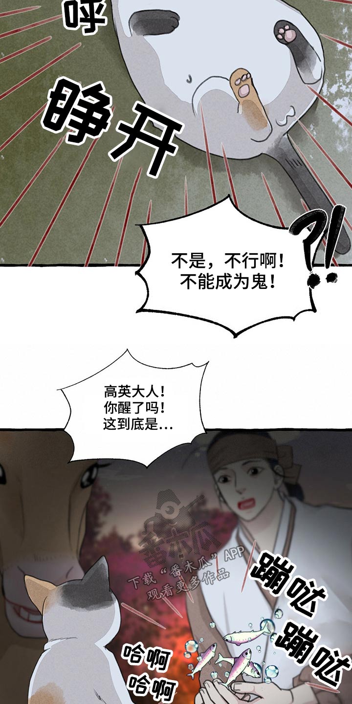 冒险秘密漫画,第149章：无法相信5图