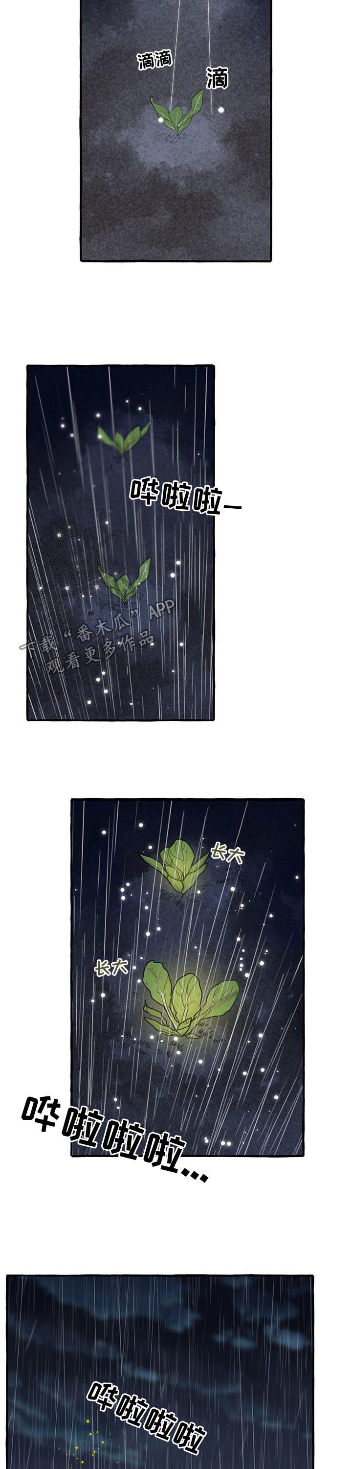 冒险秘密漫画,第99章：瑞雨3图
