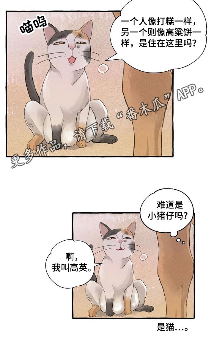冒险秘密漫画,第119章：悲伤5图