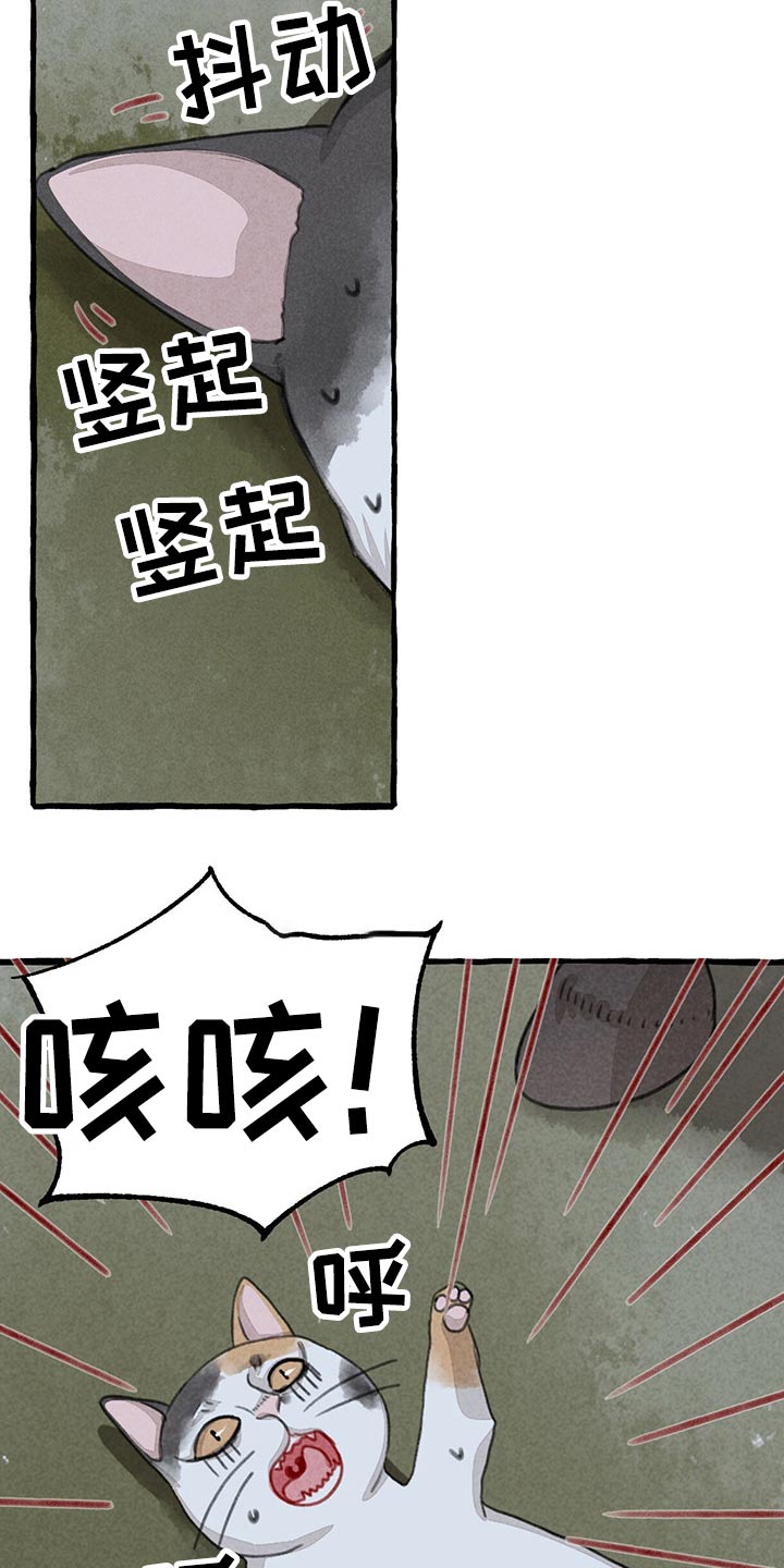 冒险秘密漫画,第149章：无法相信4图