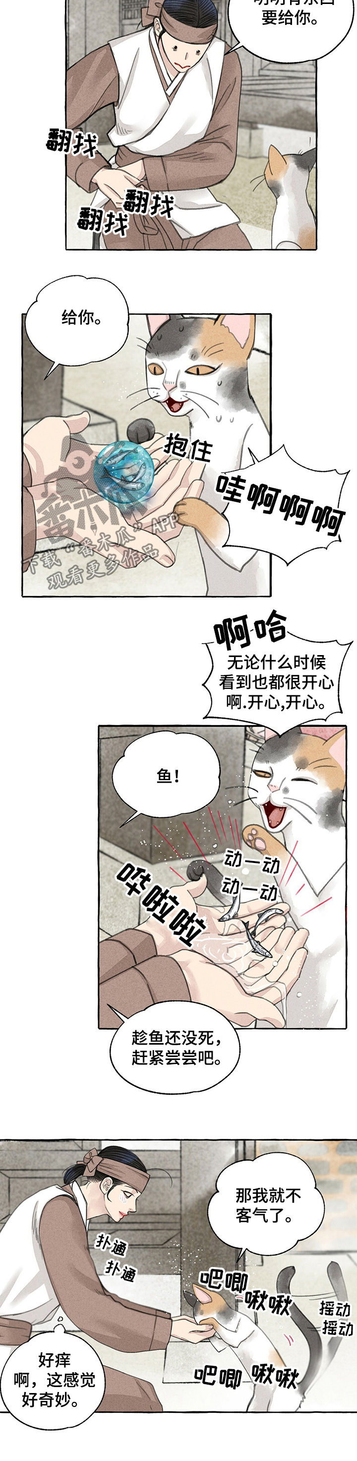 冒险秘密漫画,第59章：回家3图