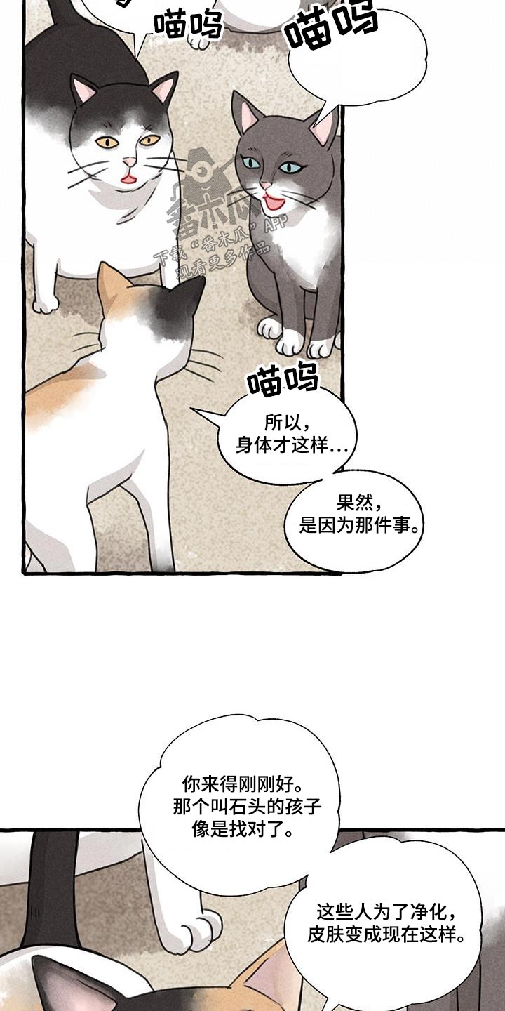 冒险秘密漫画,第175章：没关系3图