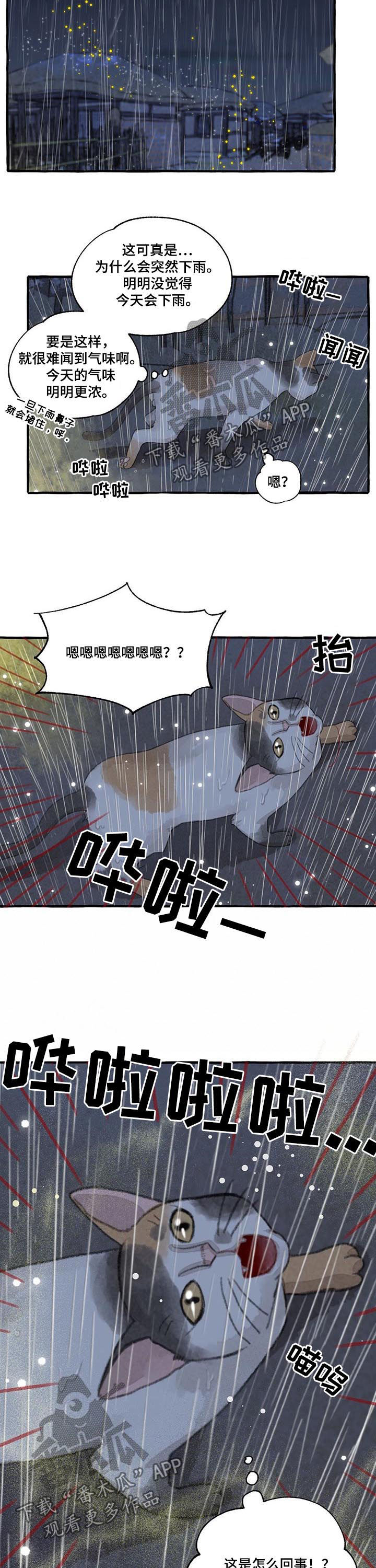 冒险秘密漫画,第99章：瑞雨4图