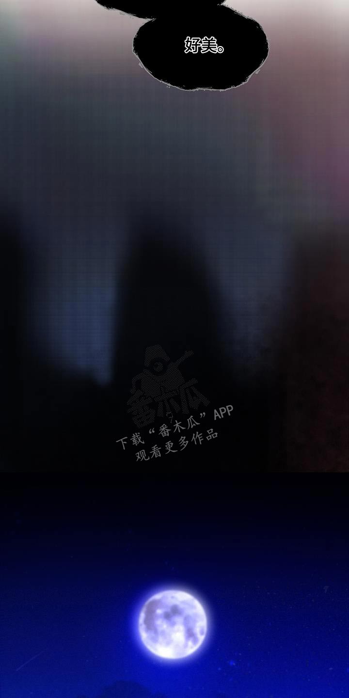 冒险秘密漫画,第179章：好美1图