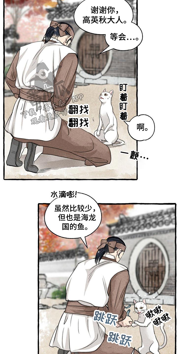 冒险秘密漫画,第128章：猫咪4图