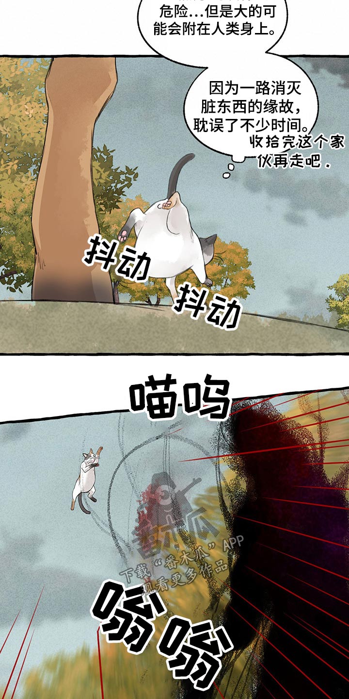 冒险秘密漫画,第121章：绝对4图