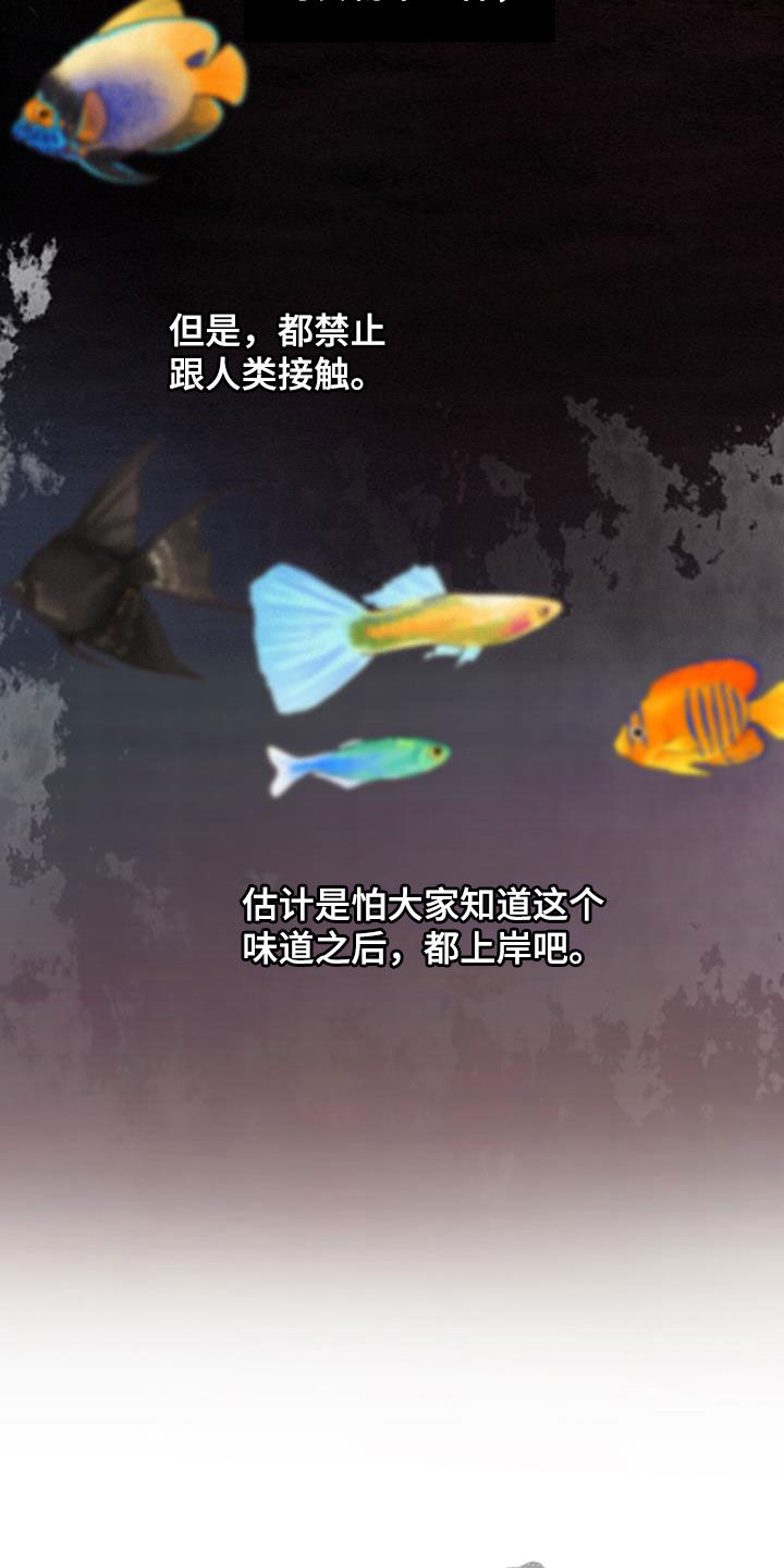 冒险秘密漫画,第183章：感情4图