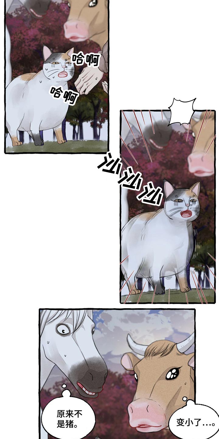 冒险秘密漫画,第149章：无法相信2图