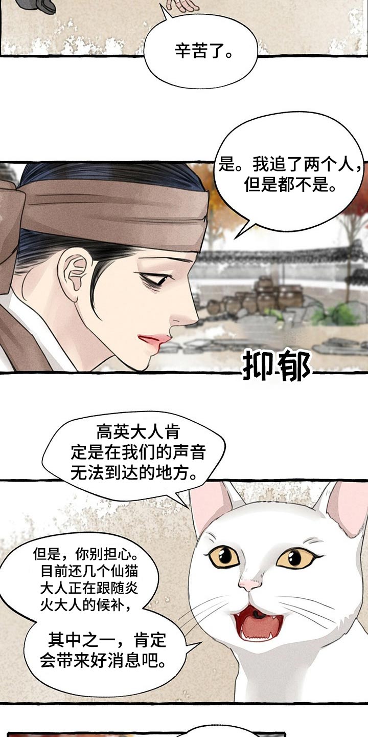 冒险秘密漫画,第128章：猫咪3图
