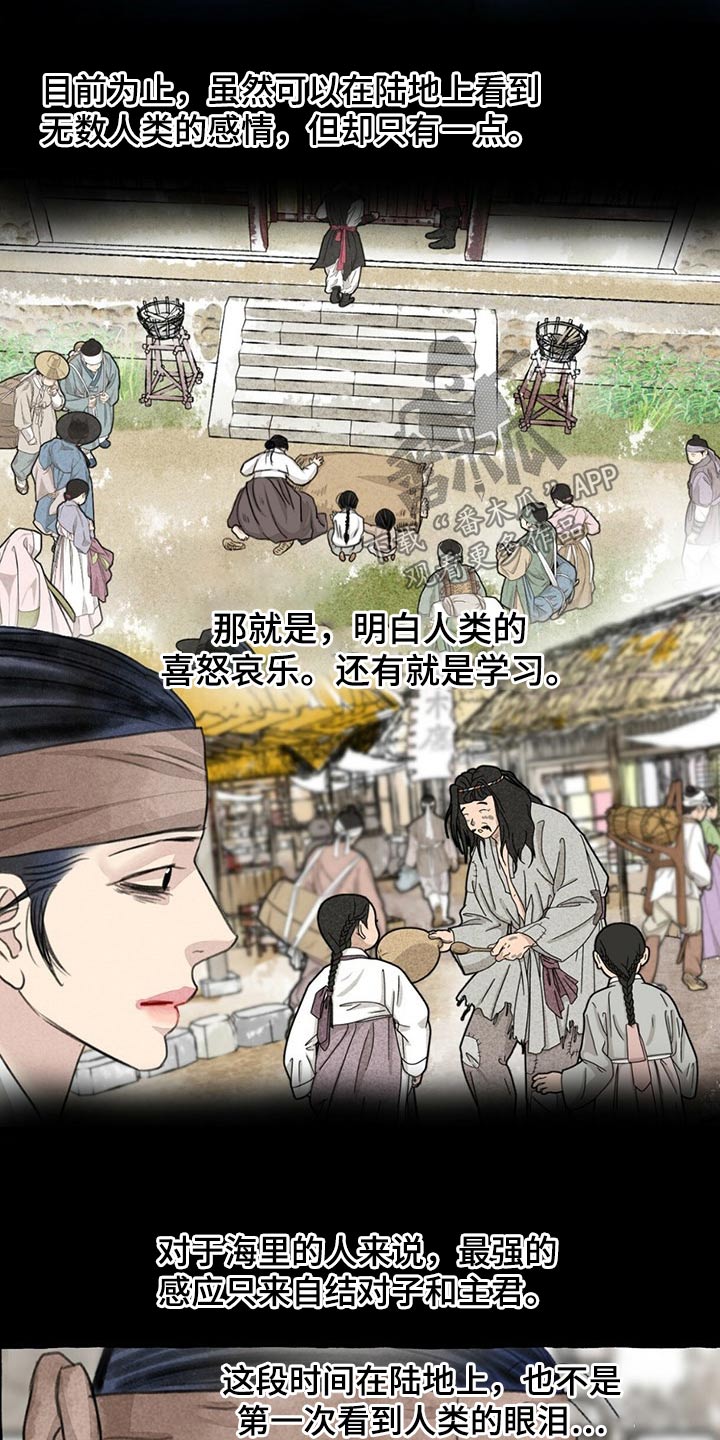 冒险秘密漫画,第128章：猫咪3图