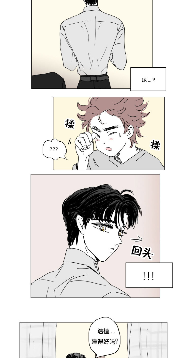 一家四口环游中国漫画,第10章：结婚消息2图