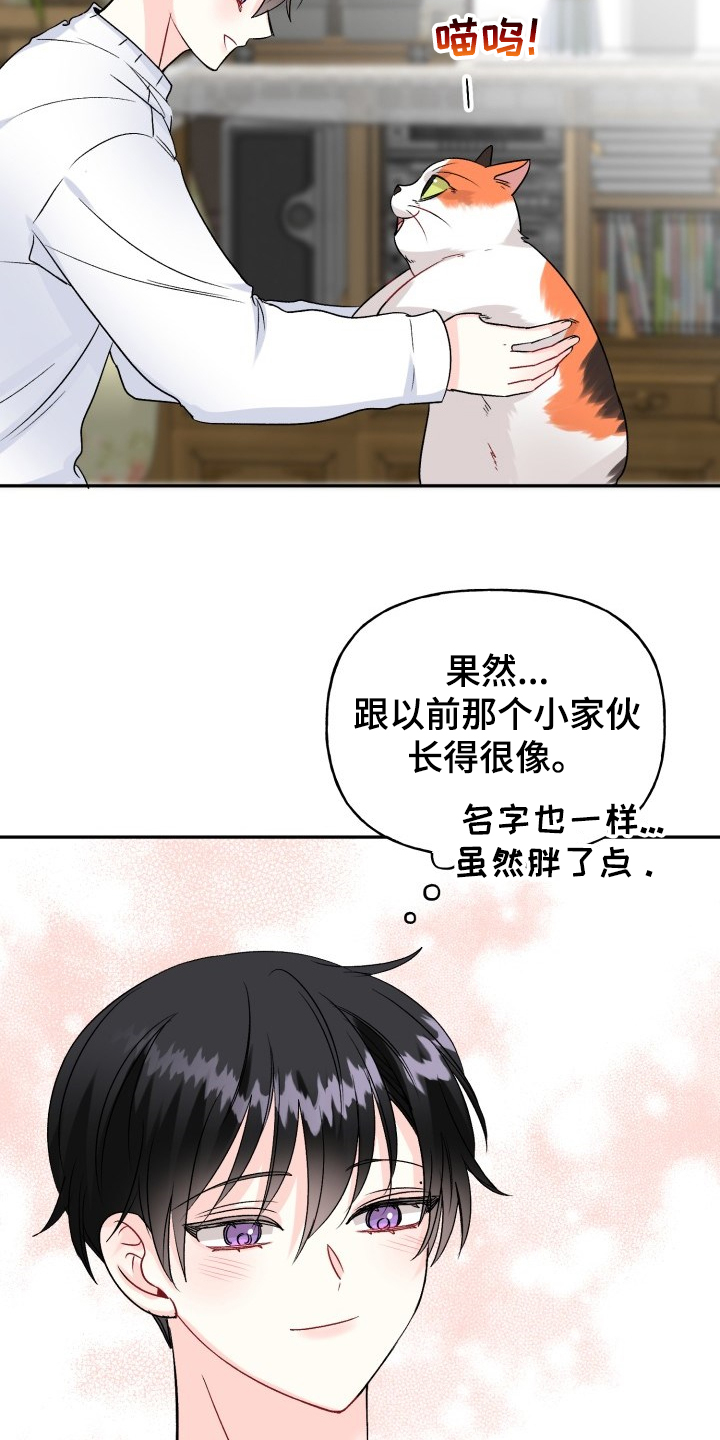 初恋重逢漫画,第103章：好像喵喵2图