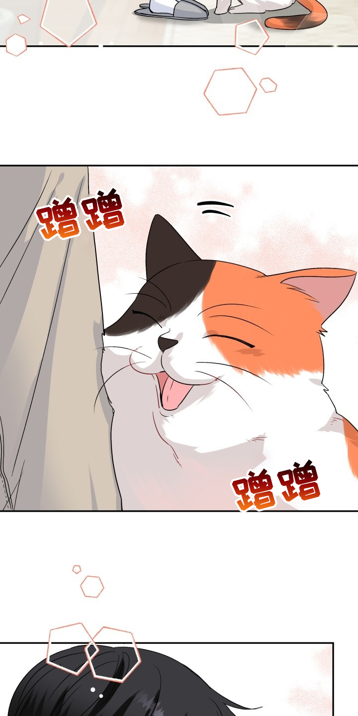 初恋重逢漫画,第103章：好像喵喵5图