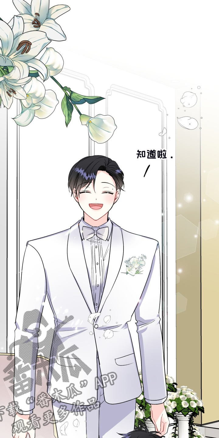 初恋重逢漫画,第113章：步入婚礼1图