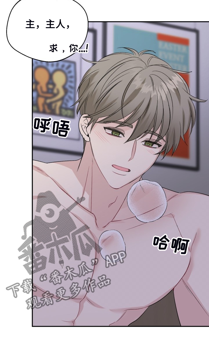 初恋重逢漫画,第109章：都怪我太笨了5图