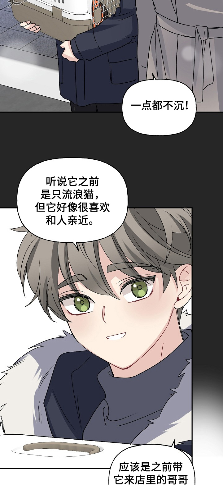 初恋重逢漫画,第83章：天定的姻缘3图