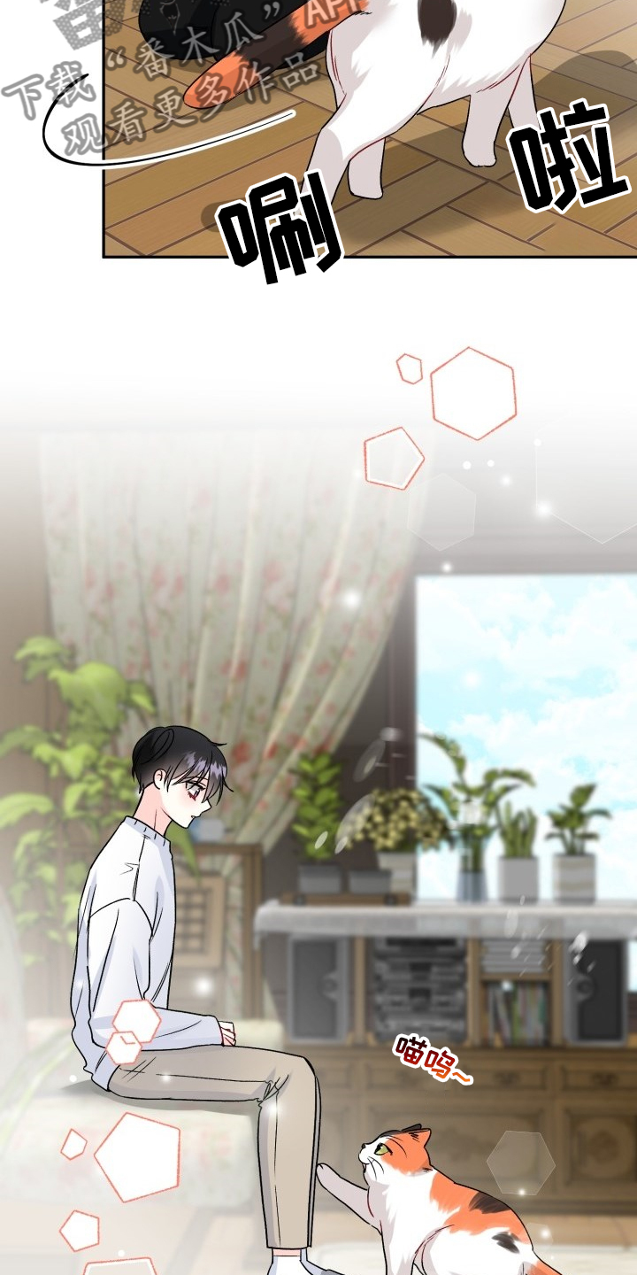初恋重逢漫画,第103章：好像喵喵4图