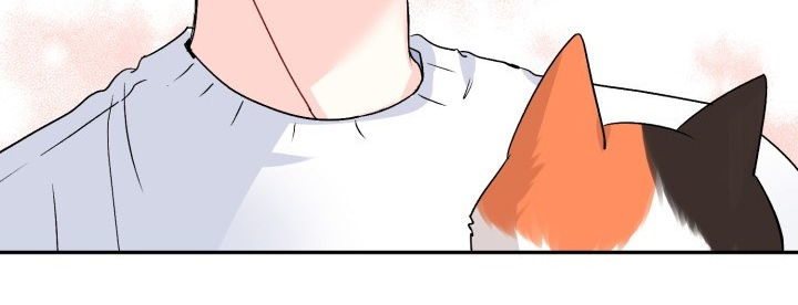 初恋重逢漫画,第103章：好像喵喵3图