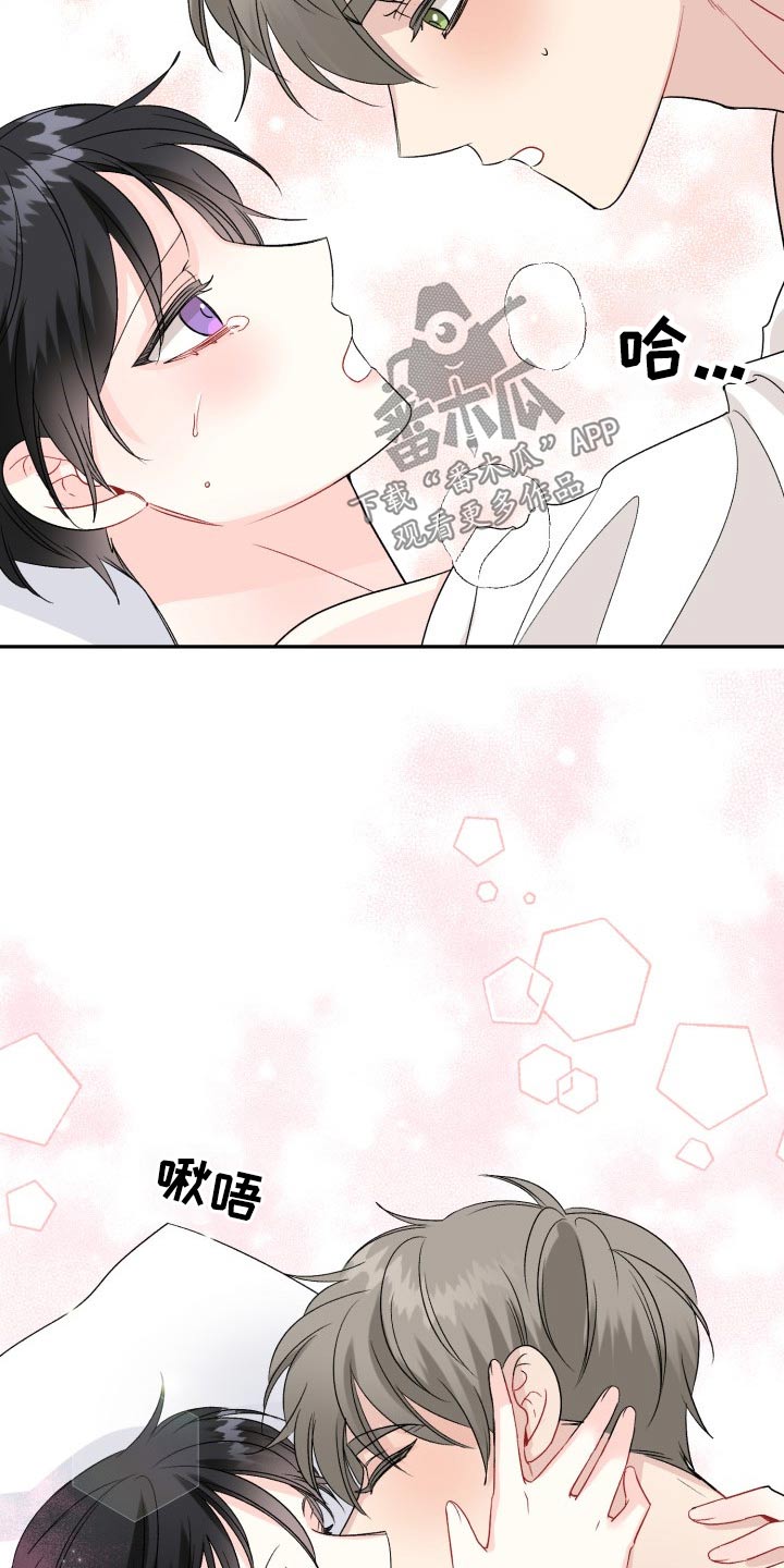 初恋重逢漫画,第120章：【番外】小熊1图