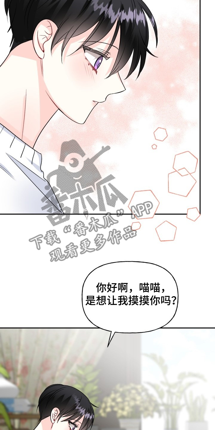 初恋重逢漫画,第103章：好像喵喵1图