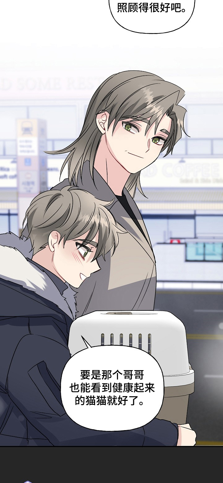 初恋重逢漫画,第83章：天定的姻缘4图