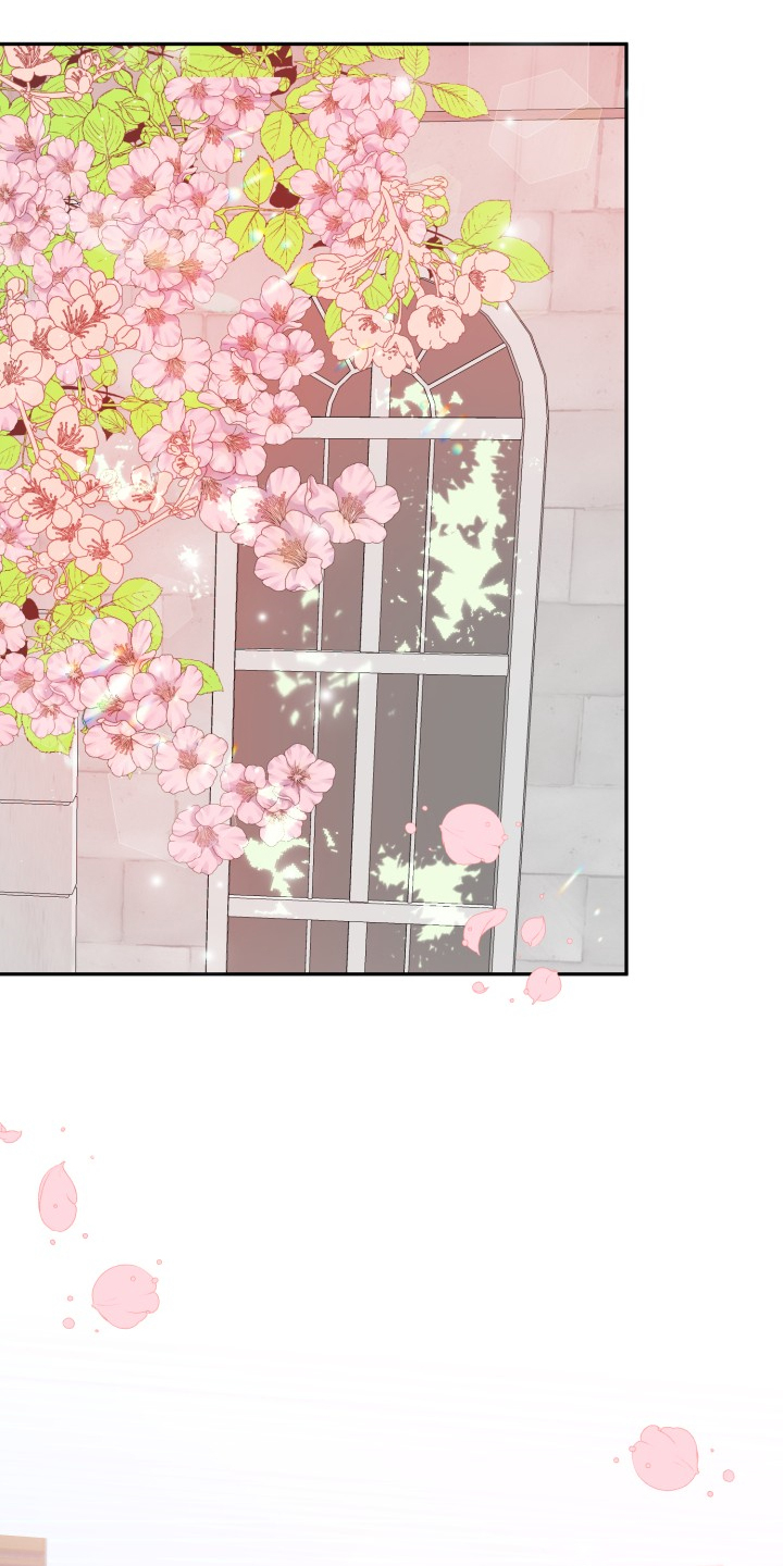 初恋重逢漫画,第113章：步入婚礼1图