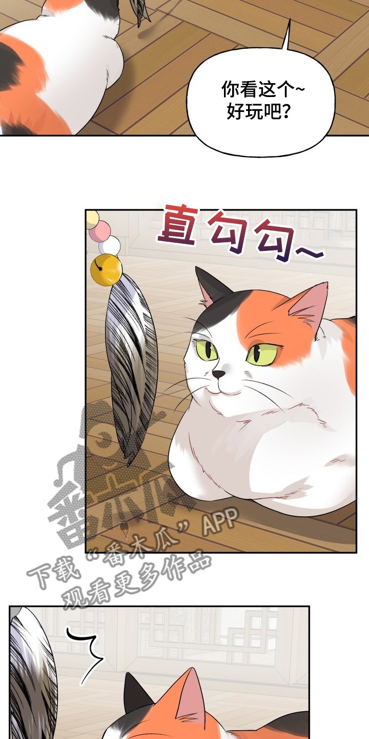 初恋重逢漫画,第103章：好像喵喵2图