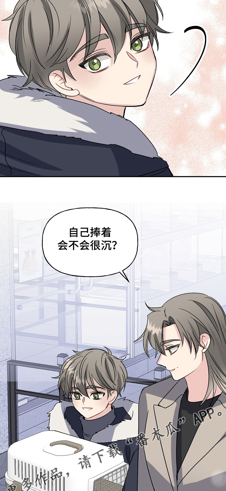 初恋重逢漫画,第83章：天定的姻缘2图