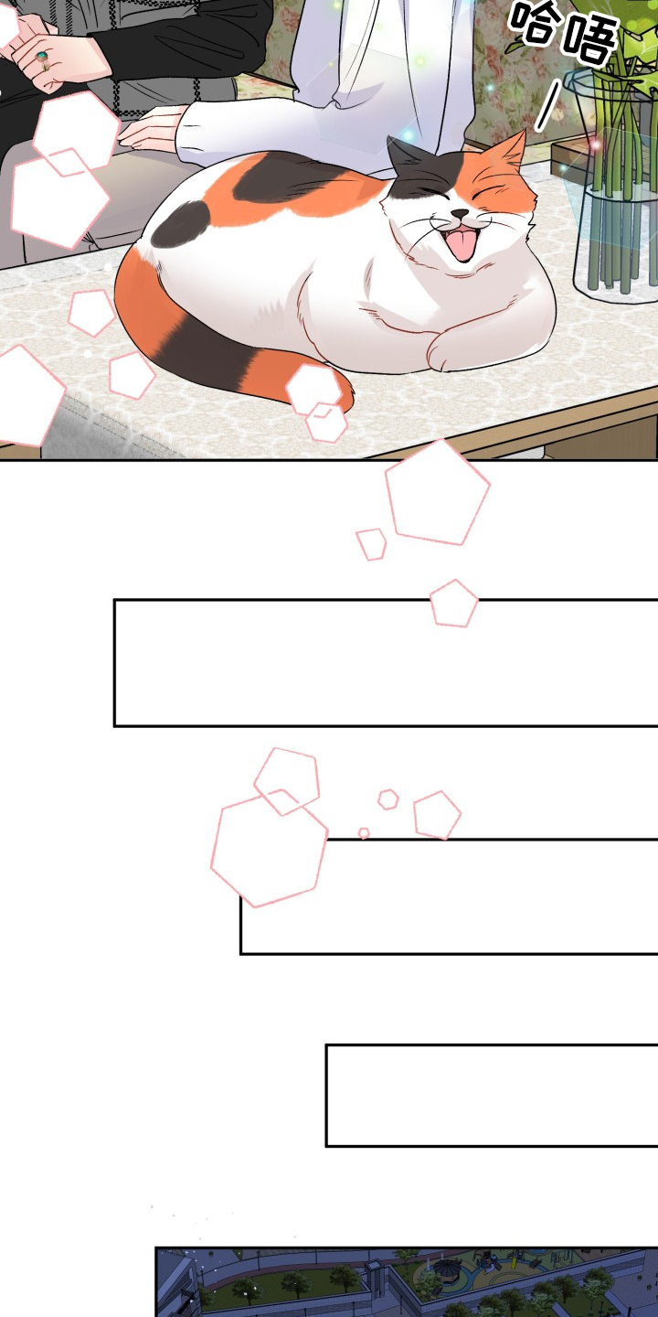 初恋重逢漫画,第104章：结婚的事3图